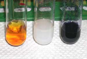iodine test for starch results
